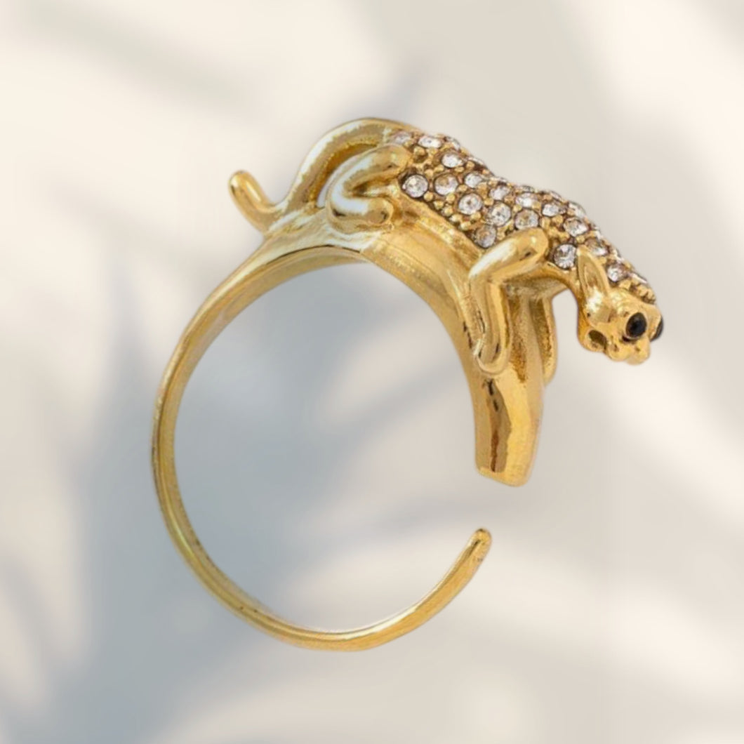 Ring dier